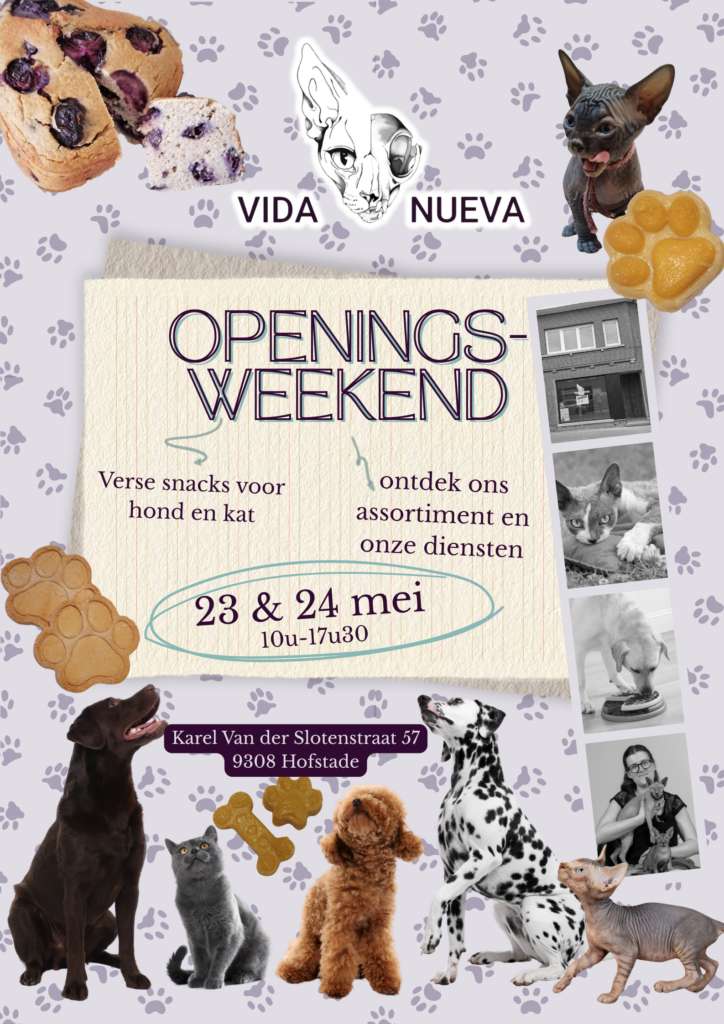 Grote opening Hofstade (met openingsuren) kopie ()