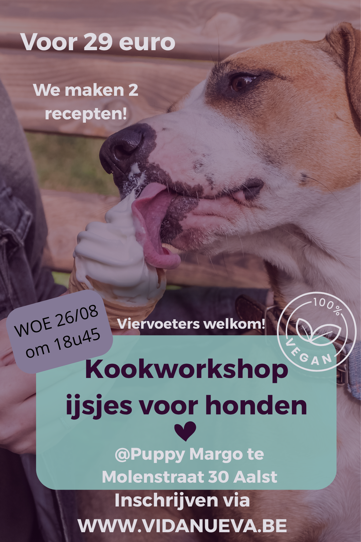 Kookworkshop augustus vegan honden ijsjes
