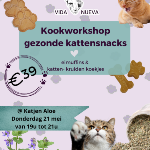 Kookworkshop gezonde kattensnacks