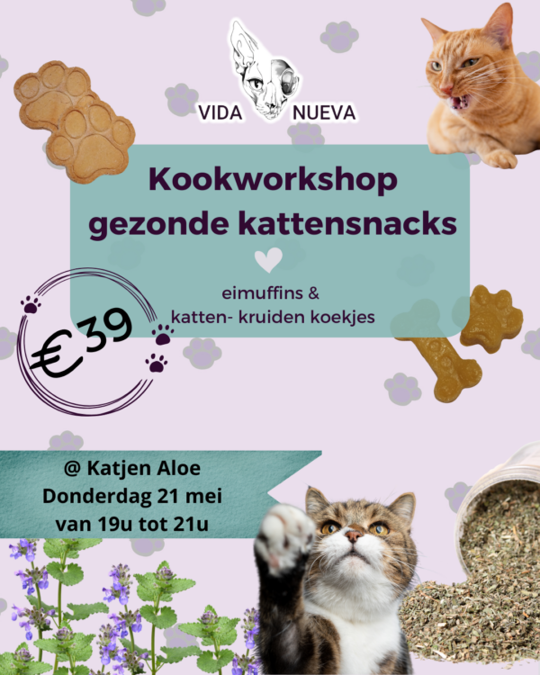 Kookworkshop gezonde kattensnacks