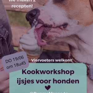Kookworkshop ijsjes bij Puppy margo