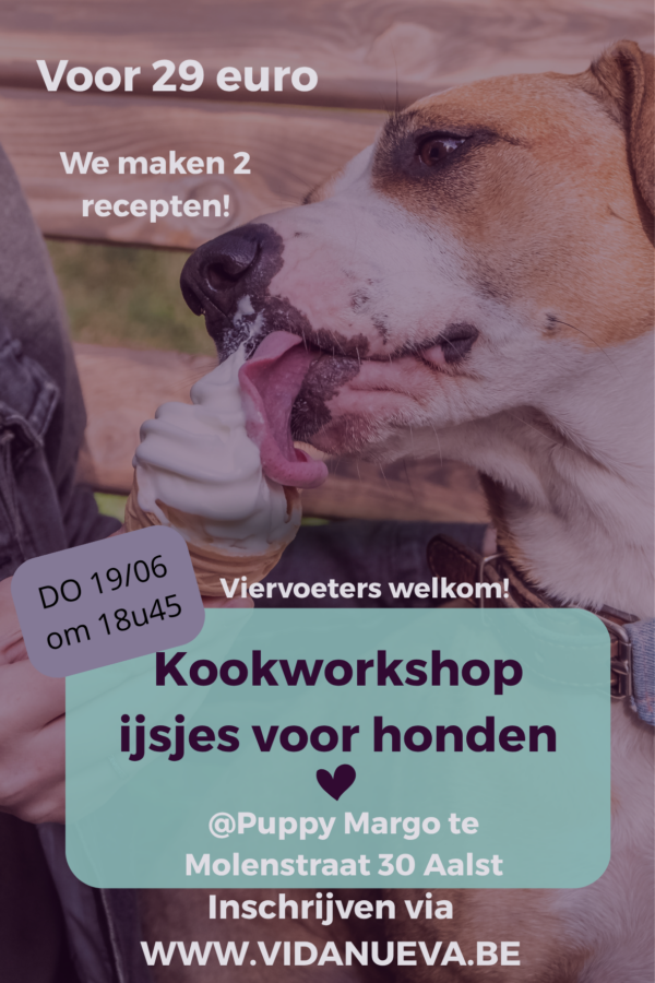 Kookworkshop ijsjes bij Puppy margo