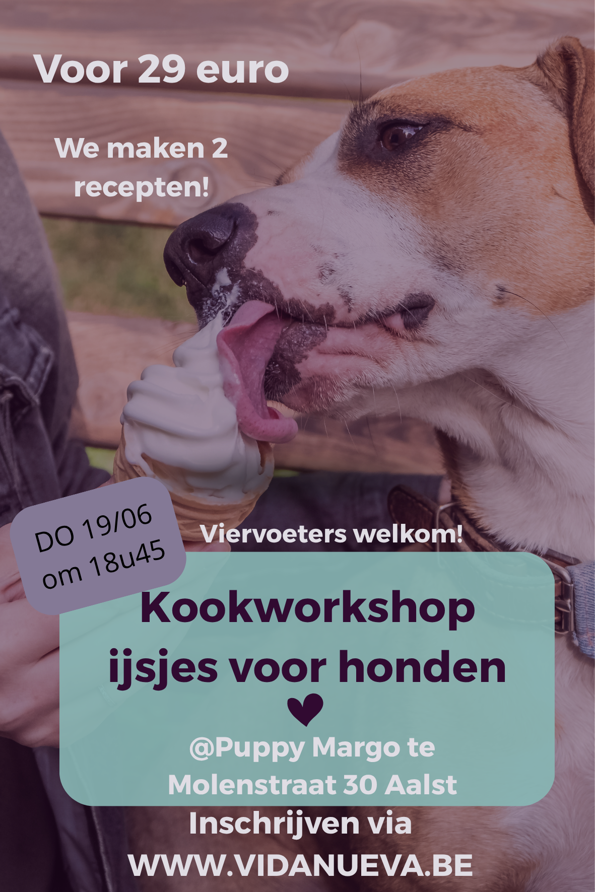 Kookworkshop ijsjes bij Puppy margo